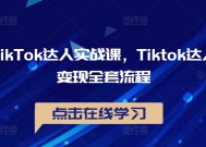 TikTok达人实战课，Tiktok达人变现全套流程