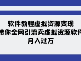 软件教程虚拟资源变现：带你全网引流卖虚拟资源软件，月入过万（11节课）