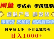 闲鱼 0 成本 0 风险项目 简单易上手 小白也能轻松日入几张