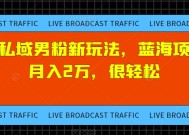 探探私域男粉新玩法，蓝海项目，月入2万，很轻松