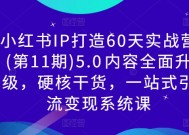 小红书IP打造60天实战营(第11期)5.0​内容全面升级，硬核干货，一站式引流变现系统课