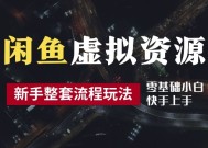 2024最新闲鱼虚拟资源玩法，养号到出单整套流程，多管道收益，每天2小时月收入过万【揭秘】