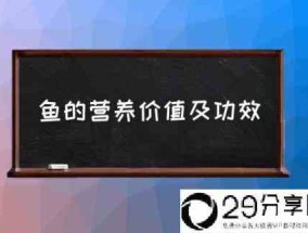 鱼的营养价值及功效(经常吃鱼会有什么好处？)