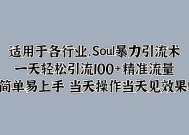 Soul暴力引流术，一天轻松引流100+精准流量，简单易上手 当天操作当天见效果!