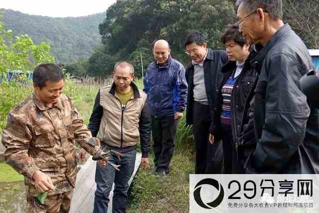 在农村，这3种冷门项目有前途，不说年入百万，年入十来万不难